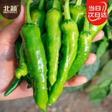 北蔬樟树港辣椒种子种苗正宗湖南特产菜种籽 北蔬樟树港辣椒种子30粒