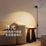 爱斯兰客厅落地灯网红护眼卧室全光谱小红帽氛围灯轻奢极简风沙发立式灯 砂岩黑-12W-暖光（氛围首选）