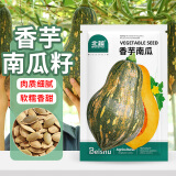 北蔬 南瓜种子种苗甘甜糯粉香味浓郁春秋季蔬菜种籽 香芋南瓜种子20粒
