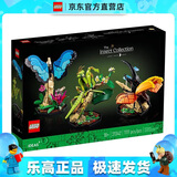 乐高21342 昆虫蝴蝶中华大刀螳 创意IDEAS系列 男女孩拼搭积木玩具