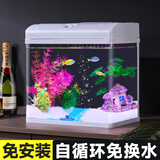 长锐小鱼缸小型桌面客厅家用玻璃免换水迷你 CR380升级版+绿野仙踪景