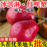 【稀有品种】正宗红啤梨新鲜梨子软糯香甜应季水果红皮啤酒梨整箱 5斤大果