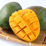 四川攀枝花凯特芒果新鲜当季大芒果 新鲜水果礼盒 10斤