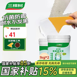 三棵树漆修补膏墙面补墙膏乳胶漆白色腻子膏裂缝涂鸦修复遮盖防水防霉环保 【抗菌防霉耐水】补墙膏 1kg*2件