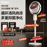 海尔（Haier）空气循环扇大风量摇头电风扇抑菌净化语音风扇家用台式落地扇轻音卧室节能风扇柔风轻羽扇电风扇 【全自动摇头】遥控循环扇HFX-Y2367A