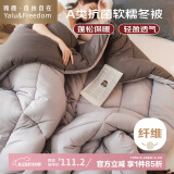 雅鹿·自由自在A类被子春秋棉被芯单双人宿舍学生6斤200x230cm 古典灰