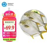 环球水产冷冻南海金鲳鱼2斤/2条 生鲜鱼类 火锅 深海鱼 海鲜水产 家庭聚餐