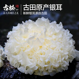 古松新鲜银耳3朵  独立盒装顺丰快递产地直发新鲜菌菇雪耳白木耳 鲜银耳3朵【共300g左右】