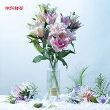 京东鲜花百合花鲜花云南昆明基地源头直发水养鲜切花礼物稀有重瓣百合5枝