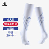 卡尔美（KELME）成人足球袜长筒加厚防滑毛巾底运动高筒袜子  白蓝色 L