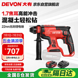 大有（Devon）20V锂电锤充电电锤两用电镐冲击钻混凝土工业级DRH单电5.0