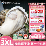 贝司令（BEISILING）【鲜活】乳山生态生蚝牡蛎贝类烧烤源头直发3XL净重9斤23-32只装