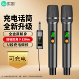 索爱（soaiy）充电无线麦克风家庭KTV唱歌舞台主持演讲K歌会议音箱音响功放万能一拖二全金属话筒SA-WS11(C)
