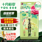 十月稻田 当季新米 胚芽米 3斤 东北大米 杂粮伴侣 粥米