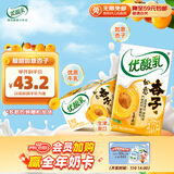 伊利优酸乳如意杏子味250ml*24盒 酸甜牛奶饮品 礼盒装