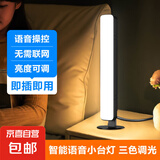 声控氛围灯智能语音小夜灯柔光睡觉卧室灯usb接口夜用护眼台灯 长条声控款