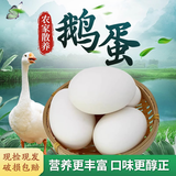 我老家 新鲜生鹅蛋 农家散养大鹅蛋 孕妇宝宝营养辅食鲜鹅蛋 12枚装 单枚100g-120g