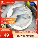鲜到鲜得 东海银鲳鱼400g(2条装) 生鲜鱼类 海鲜水产 海鱼 烧烤