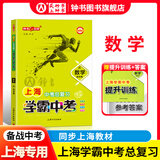 钟书金牌上海中考总复习 学霸中考 语文+数学+英语+物理+化学+地理与生命科学+历史+道德与法治 学霸中考总复习资料冲刺中考复习强化训练书籍中考复习资料书 中考总复习 数学