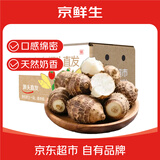 京鲜生 云南牛奶小芋头净重5斤单果40g+ 粉糯奶香现挖新鲜蔬菜源头直发