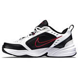 耐克NIKE男训练鞋老爹鞋MONARCH IV运动鞋415445-101白/金属银40