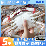 梭子蟹鲜活特大野生舟山大螃蟹海鲜新鲜冷冻海蟹水产飞蟹白蟹顺丰 3-5两/只 【净重6斤舟山梭子蟹】