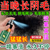 私密处阴部毛发生长液阴部毛发快速增长变浓密变黑腿毛眉毛头发 增毛液毛发生长液长发剂【1盒】 通用男士女士专用毛发浓密黑】