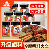 川珍香料大全9罐组合装595g厨房调料套装家庭五香炖卤料包原料辣卤