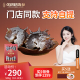 张奶奶 大连冷冻即食海参礼盒非干货天然辽刺参高品质海鲜无污染 即食海参 500g 【10-12头】1斤装 体壁厚实 Q软弹牙