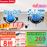 荣事达（Royalstar）燃气灶 双灶煤气灶 家用天然气液化气炉具 猛火鸳鸯灶 不锈钢+九腔猛火(液化气)
