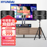HYUNDAI现代家庭影院ktv音响套装家用k歌电脑电视客厅卡拉ok全套会议室卡包店铺专业功放音箱设备 【经典版】10吋音响套装