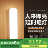 心有所属人体感应灯充电磁吸小夜灯卧室床头起夜灯家用氛围便携酷毙夜光灯