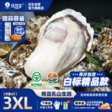 贝司令（BEISILING）【鲜活】乳山生态生蚝牡蛎贝类烧烤源头直发3XL净重4斤 海鲜水产
