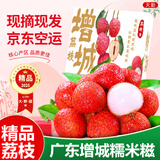 京地达广东增城糯米糍荔枝礼盒净重4.5斤单果20g新鲜荔枝源头直发包邮
