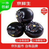 京鲜生 山东紫茄子 圆茄 净重5斤单果250克+新鲜蔬菜源头直发