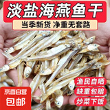 小鱼干仔干货晒干风干深海小咸鱼干海燕鱼海鲜银鱼毛鱼干特产 淡干海燕鱼干【100g】7-10厘米