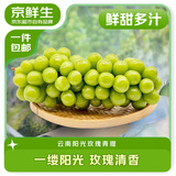 京鲜生云南阳光玫瑰青提1.8-2.2斤装单果6-8g生鲜水果葡萄提子源头直发
