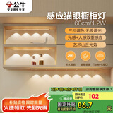 公牛（BULL）感应猫眼橱柜灯磁吸充电山丘光效展柜玄关氛围小夜灯 银60cm三色