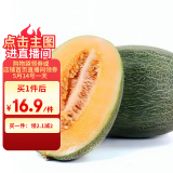 京鲜生 海南哈密瓜/西州蜜 1粒装 2.5斤起 生鲜水果