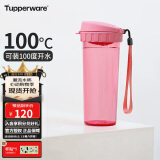特百惠（Tupperware）茶韵500ML塑料杯 男女学生夏季水杯子大容量便携办公用 柔蜜粉