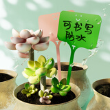 书珊 园艺标签贴纸置物花盆塑料多肉标签花卉园艺插地牌盆栽植物名字标牌防水小标签贴纸