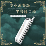 敦煌12孔无膜绿格子半音阶练习12pro口琴 可水洗银色 C调 初学推荐