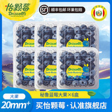 怡颗莓【新鲜优选】进口秘鲁蓝莓 新鲜蓝莓 生鲜水果 蓝莓超大果125g*6盒（20mm+）