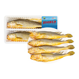 三都港【冰鲜】三去野驯黄花鱼净重1100g/2条 黄鱼 源头直发