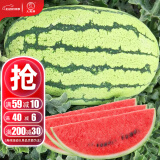大禹懒汉西瓜种子苗特大适合南方早熟懒人8424麒麟瓜美都无籽水果蔬菜 京抗100杂交西瓜种子 5g 多汁