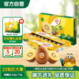 佳沛（zespri）新西兰金果巨大果22粒原箱猕猴桃单果约144-175g端午节水果礼盒