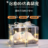 赟娅猫咪狗玩偶毛绒娃娃玩具布偶公仔动物鳄鱼抱枕浪漫送女友生日礼物 大号萨摩耶+礼盒礼袋