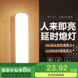 心有所属人体感应灯充电磁吸小夜灯卧室床头起夜灯家用氛围便携酷毙夜光灯