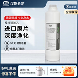 汉斯希尔（SYR）家用厨房净水器RO 纯水机复合滤芯 RO反渗透滤芯