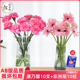 悦多彩优质水养鲜切花 母亲节三八节花束 昆明基地现采直发顺丰生活鲜花 康乃馨10支+非洲菊10支（均随机色）